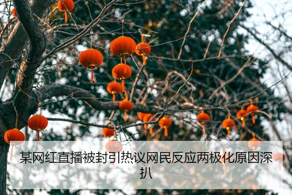 mou-wang-hong-zhi-bo-bei-feng-yin-re-yi-wang-min-fan-ying-liang-ji-hua-yuan-yin-shen-ba-2-101.jpg